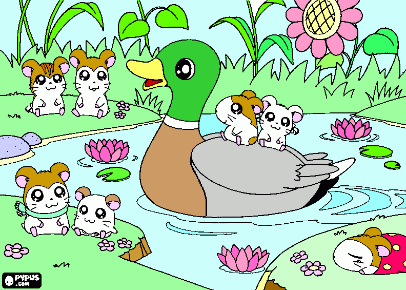 Hamsters coloring page