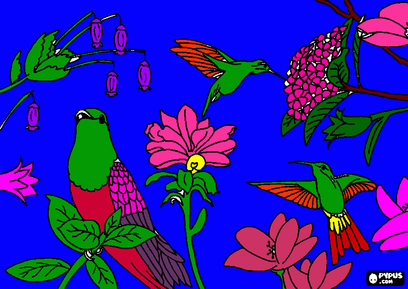 Hannah coloring page