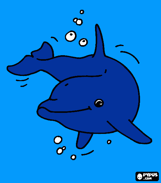 happy dolphin coloring page