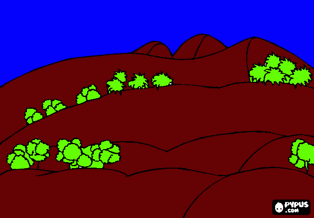 hill view coloring page