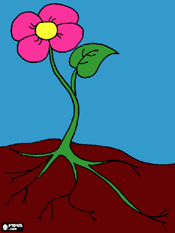 it's a flower  coloring page