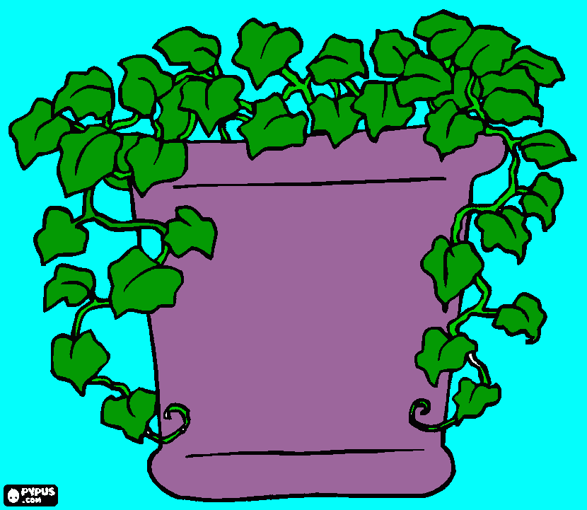 Ivy in a pot coloring page