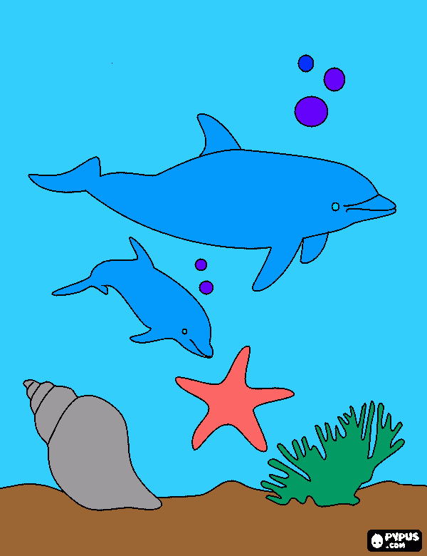 Jesse's dolphins coloring page
