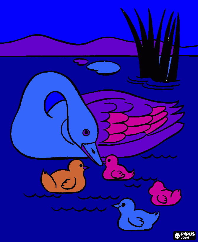 kachničky coloring page