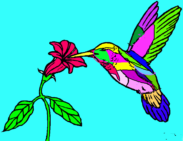 koliber coloring page