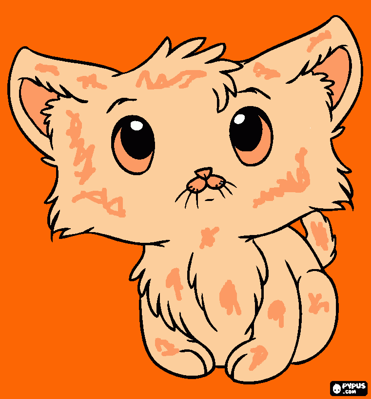 Kucing coloring page