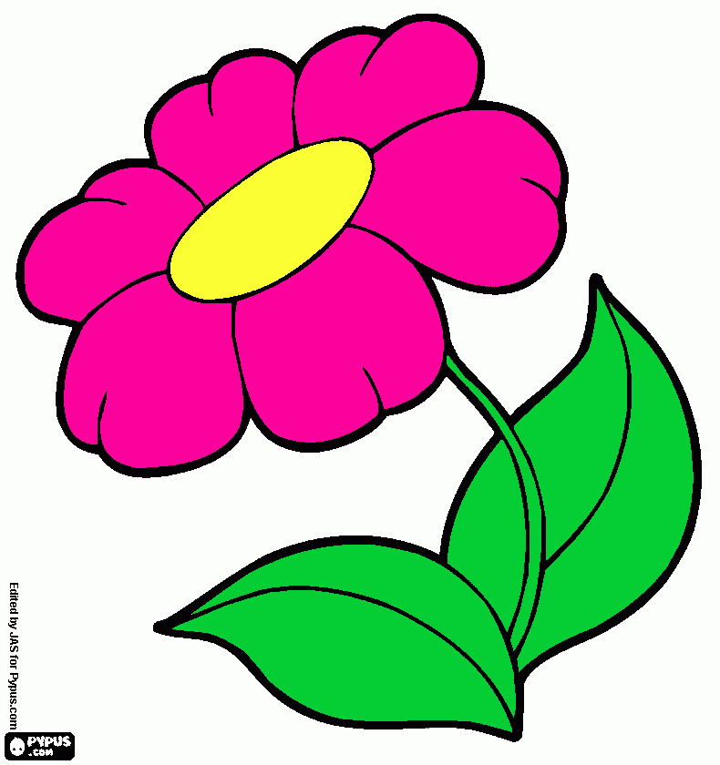 kviet coloring page