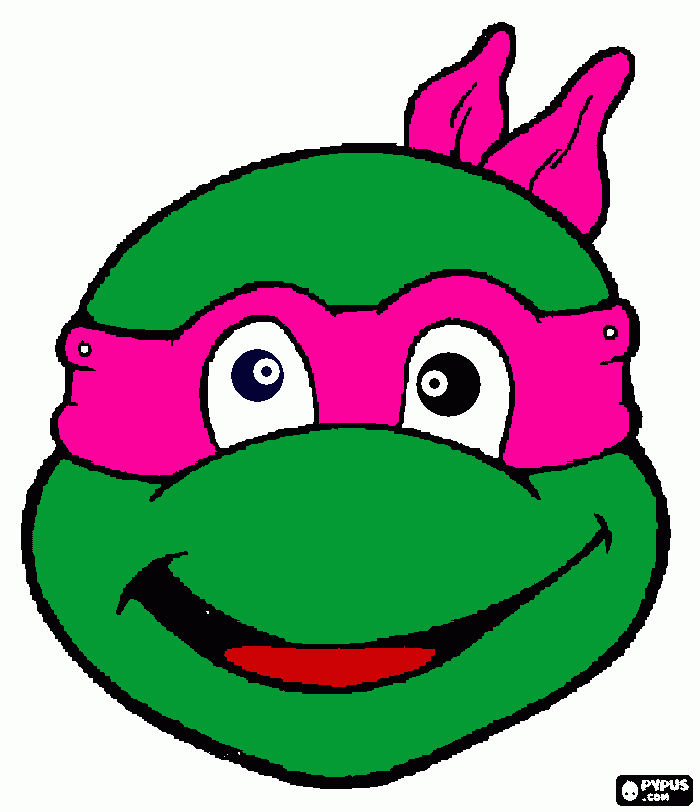 kylies bday turtle  coloring page