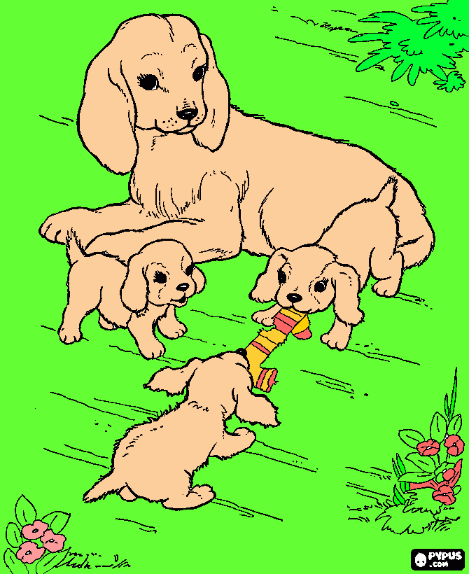 LABRADOR!!! coloring page