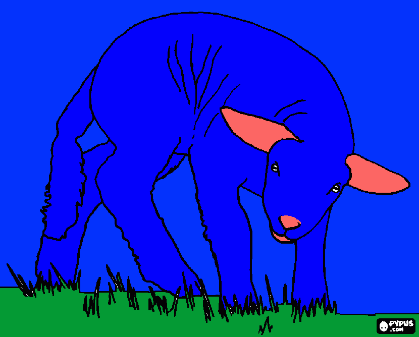 Lamb coloring page