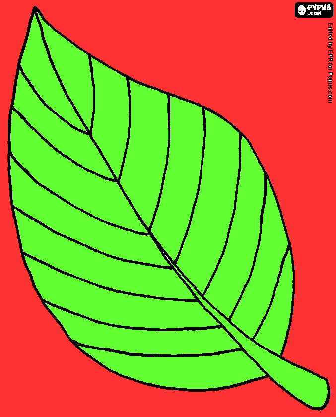 leaf  coloring page