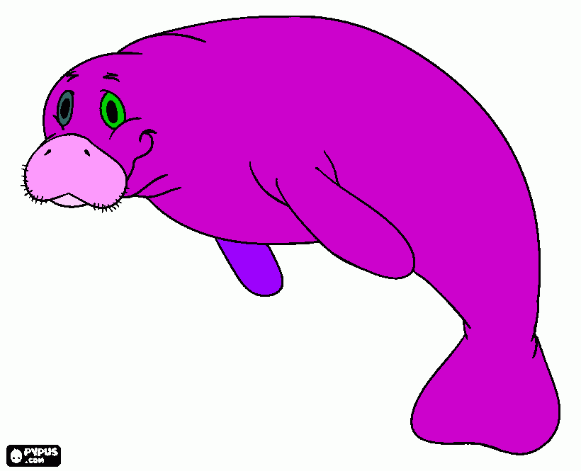 Manatee coloring page