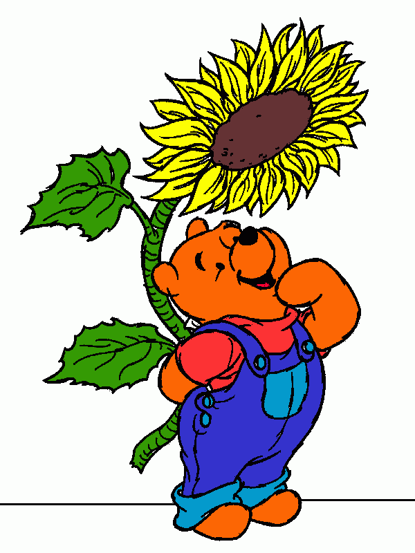 meda puu coloring page