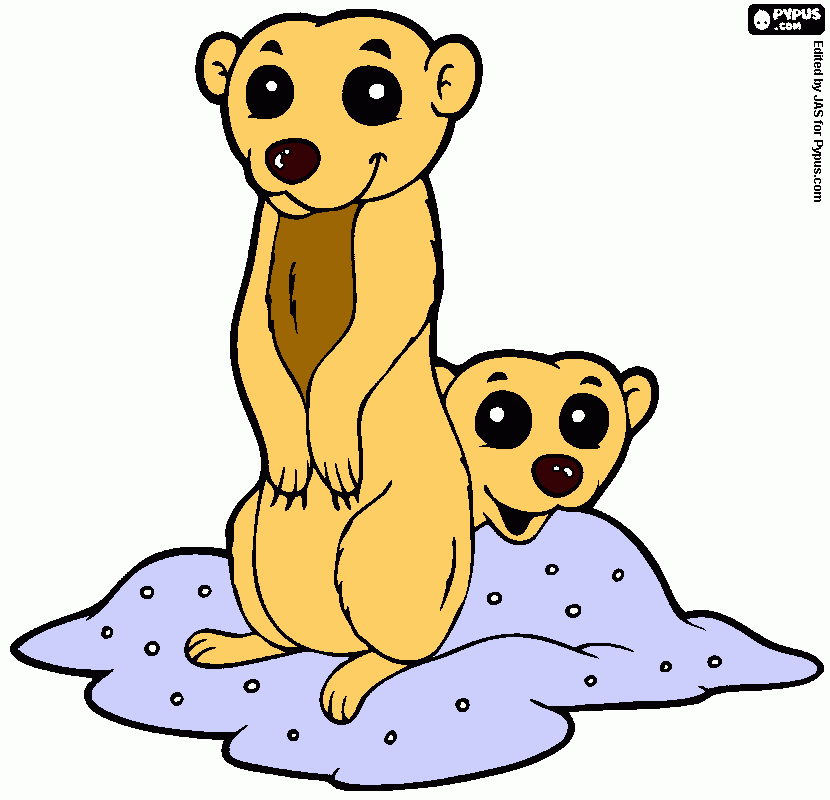 meerkat coloring page