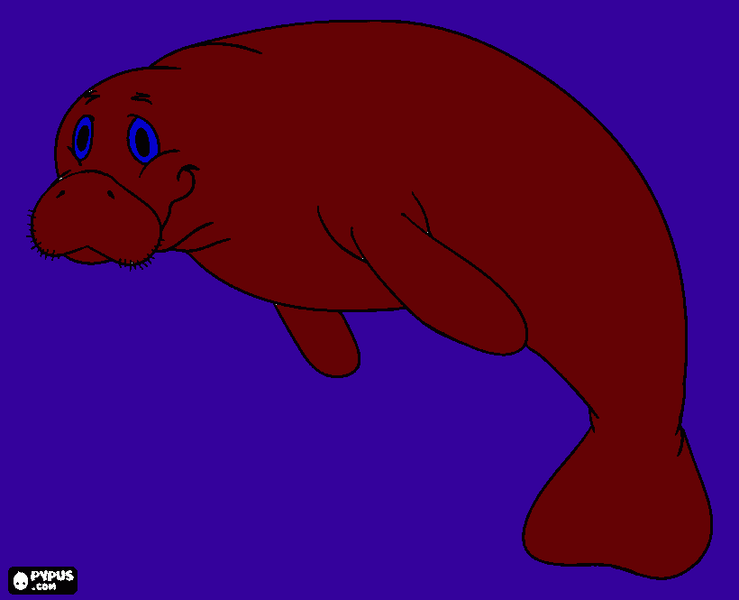 morsa coloring page