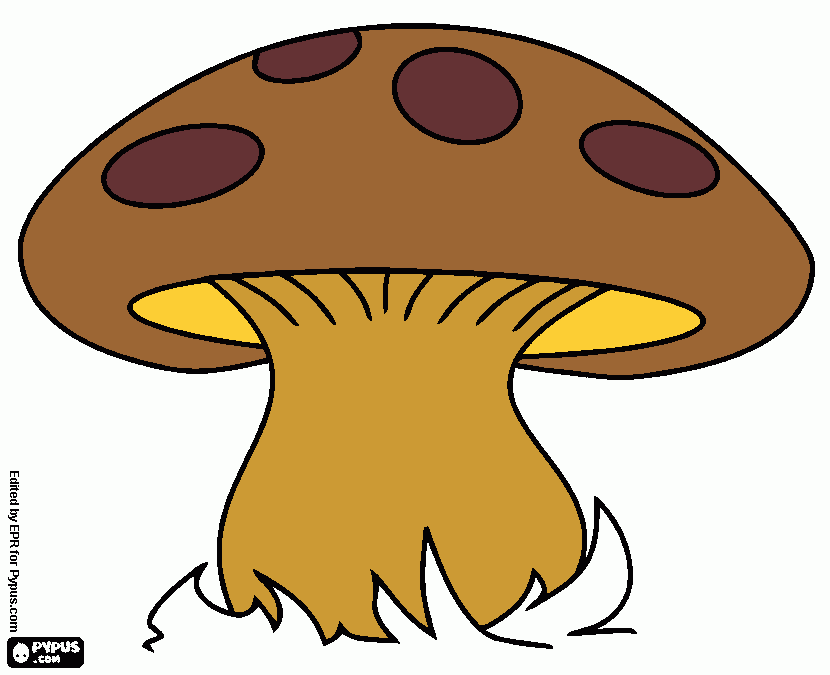 mushrom coloring page