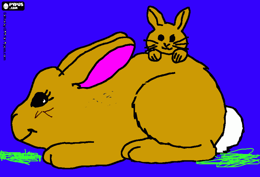 my rabbits coloring page