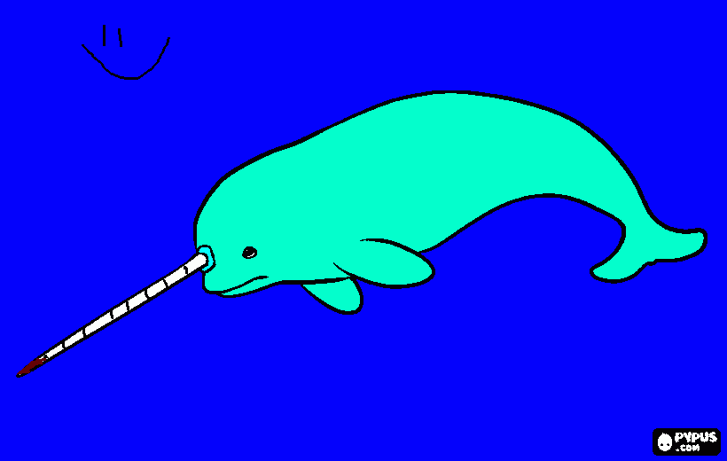 narwhal coloring page