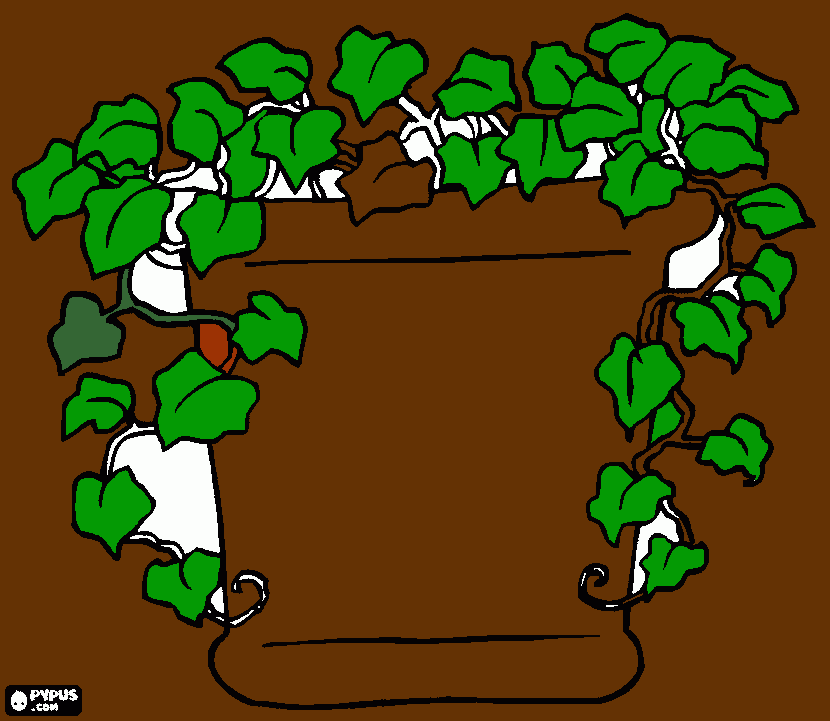 noreli coloring page