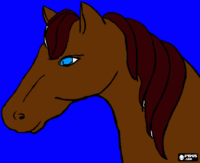 Paco head coloring page