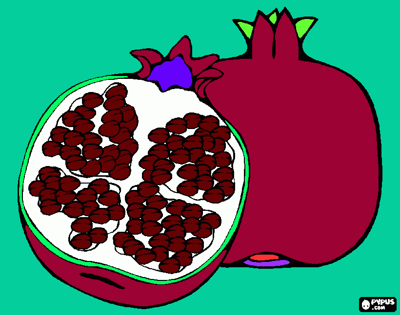 pomegranate pic coloring page