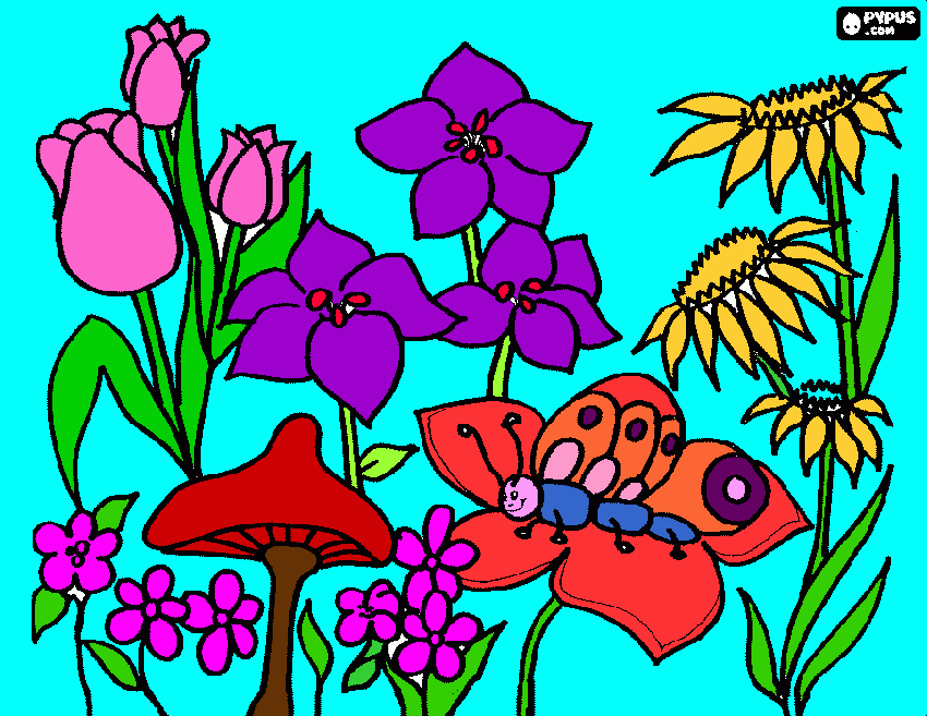 pretty spring flowers coloring page
