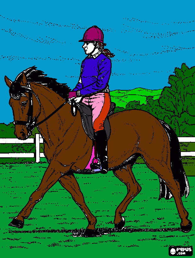 rider at show coloring page coloring page