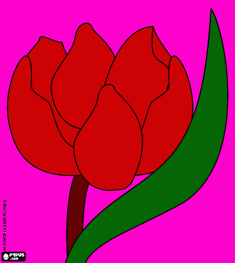 rose coloring page