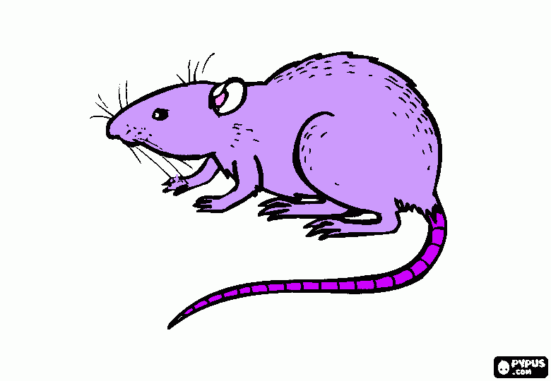 Rott Liisa coloring page