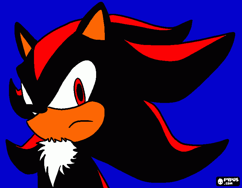 shadow is a hedgehog coloring page