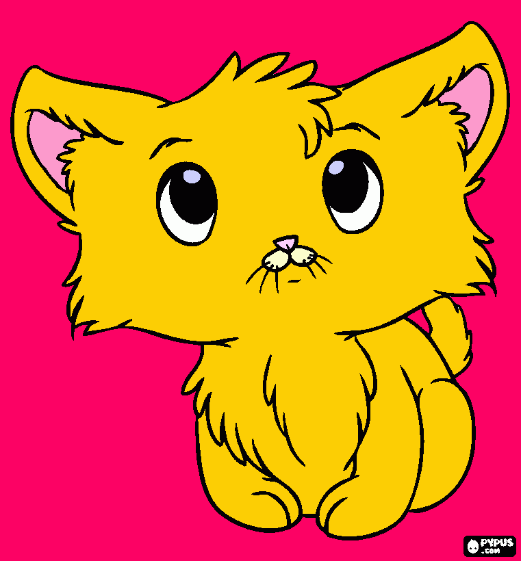 stupid cat coloring page