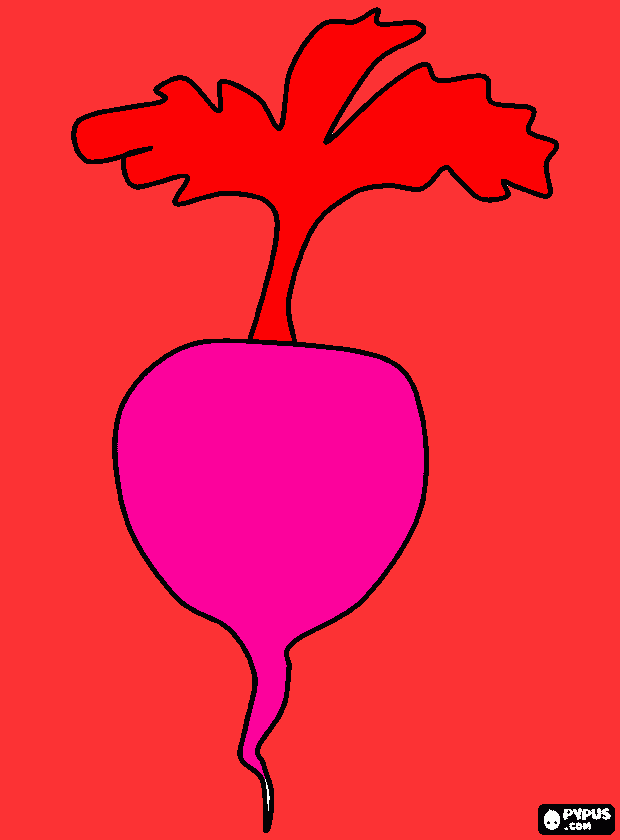 turnip coloring page