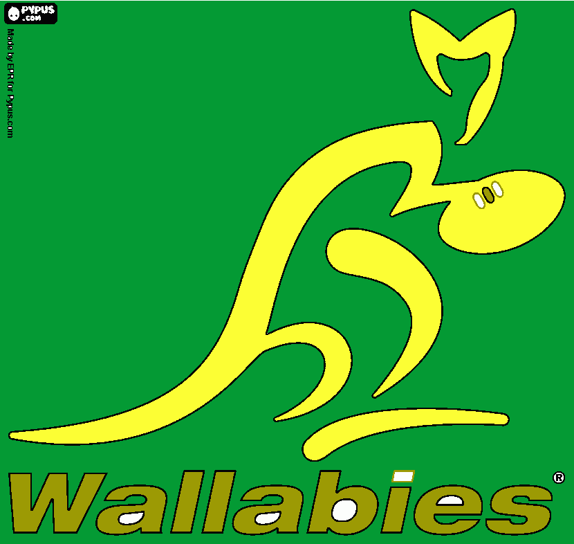 wallabies australia coloring page