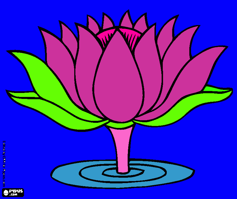 water lilly coloring page