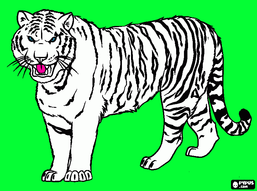 white tiger coloring page