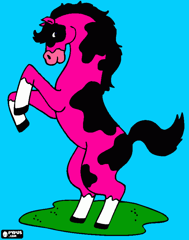 Wild horse on hind legs coloring page coloring page