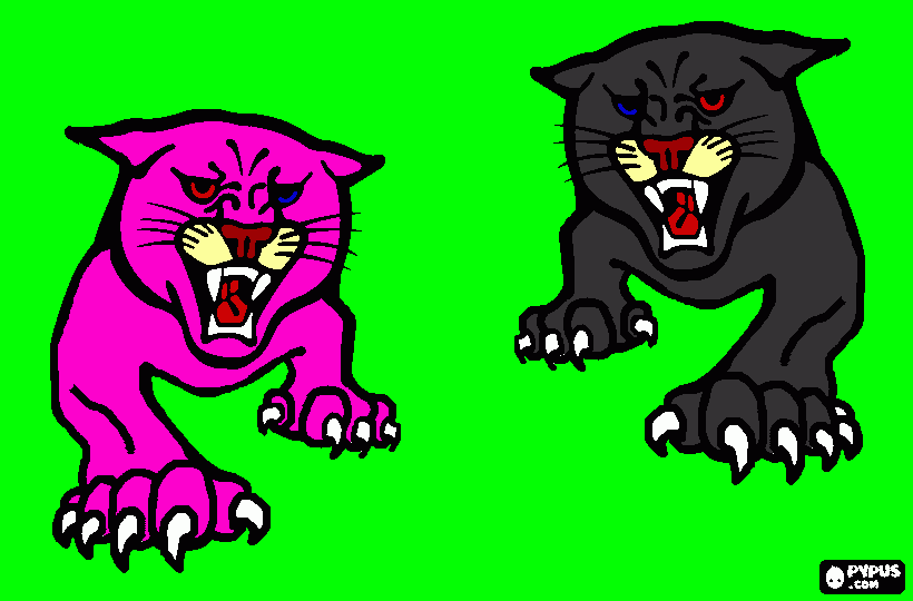 wildcat  coloring page
