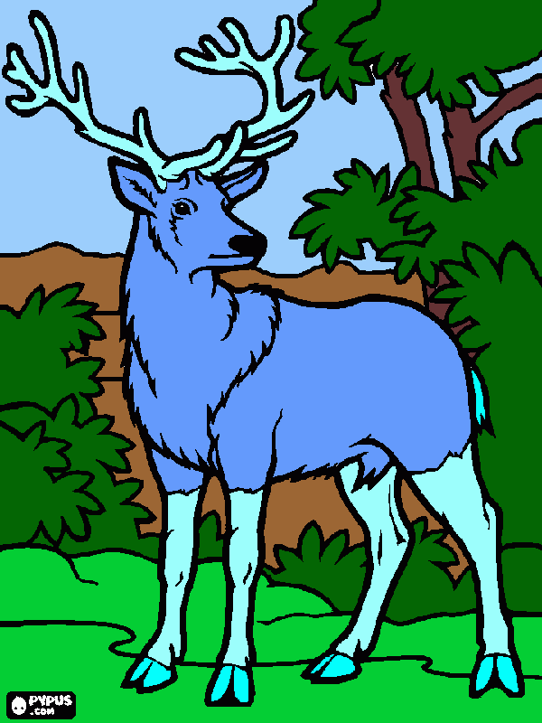 Wind as a deer a Wind deer coloring page