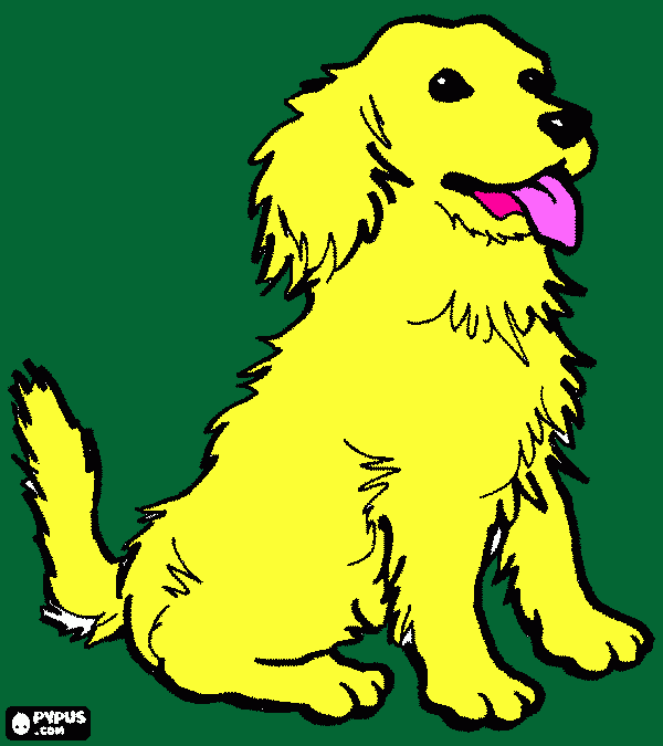 Yellow Lab coloring page