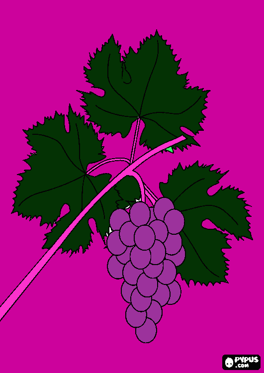 yummy grapes coloring page
