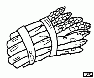A bunch of green asparagus coloring page