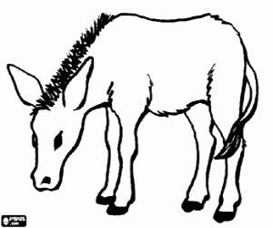 A mule coloring page