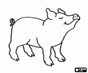 A pig coloring page