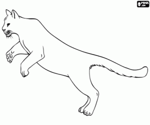 A puma jumping coloring page