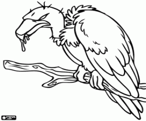 A vulture on a branch of a tree coloring page