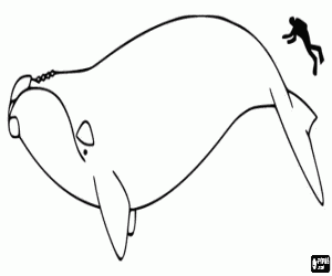 A whale and a man coloring page