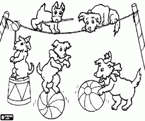 Acrobats puppies at the circus coloring page