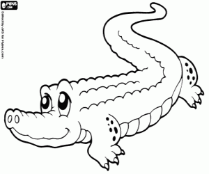 Alligator coloring page