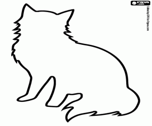 Angora cat silhouette coloring page