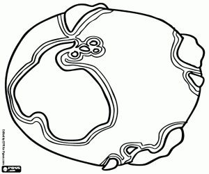 Antarctica in our planet coloring page
